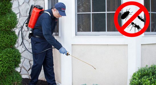 Kelkit Karınca İlaçlama böcek ilaçlama ve haşere kontrolü — ilaclama-tr.com